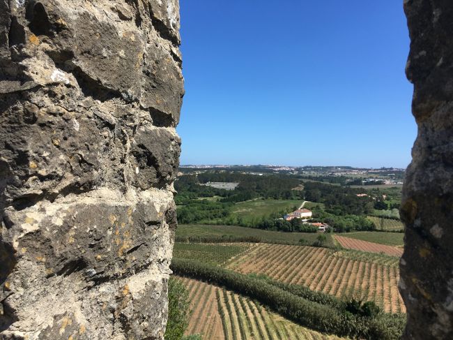 でもこの日は風が強くて、おまけに上の方は道幅が50cmぐらいしかなくて、横には壁などがないので、吹き飛ばされそうで、実はけっこう怖かった。。。