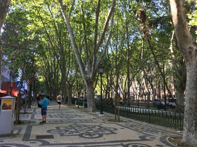 ホテルに戻って荷物を置いた後、ホテル近くのLiberdade大通りを歩いてみました。「リスボンのシャンゼリゼ」と呼ばれているそうな。新緑の季節、お散歩するのに気持ちいい道。