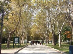 市民の憩いの場ドゥカーレ公園、緑豊かで、とても広いです。

