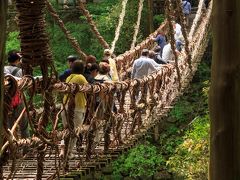 祖谷のかずら橋