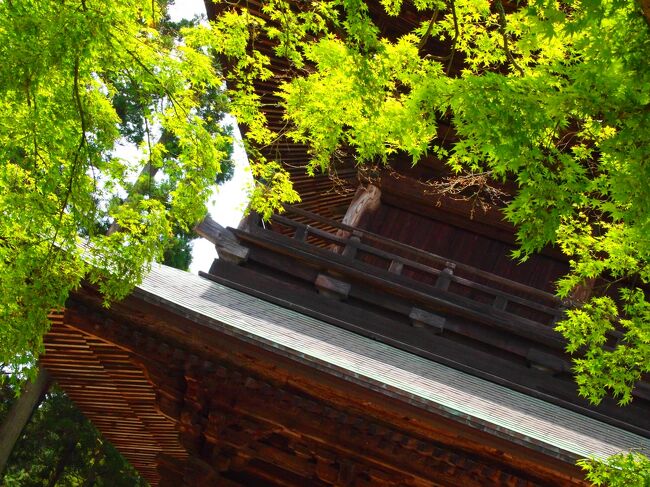 東の古寺巡礼 新緑の鎌倉 かいひん荘鎌倉に泊まる 1日目 鎌倉 神奈川県 の旅行記 ブログ By Harihariさん フォートラベル 東の古寺巡礼 新緑の鎌倉 かいひん荘鎌倉に泊まる 1日目 鎌倉 神奈川県 の旅行記 ブログ By Harihariさん フォートラベル