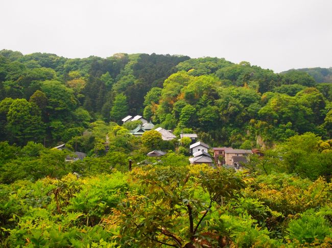 東の古寺巡礼 新緑の鎌倉 かいひん荘鎌倉に泊まる 1日目 鎌倉 神奈川県 の旅行記 ブログ By Harihariさん フォートラベル 東の古寺巡礼 新緑の鎌倉 かいひん荘鎌倉に泊まる 1日目 鎌倉 神奈川県 の旅行記 ブログ By Harihariさん フォートラベル