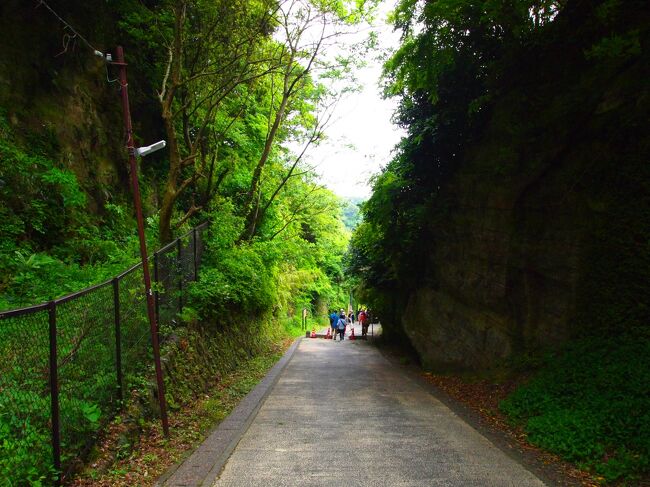 東の古寺巡礼 新緑の鎌倉 かいひん荘鎌倉に泊まる 1日目 鎌倉 神奈川県 の旅行記 ブログ By Harihariさん フォートラベル 東の古寺巡礼 新緑の鎌倉 かいひん荘鎌倉に泊まる 1日目 鎌倉 神奈川県 の旅行記 ブログ By Harihariさん フォートラベル