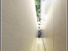 □■クリチバのオスカーニーマイヤー作品■□

この迫りくる天井、凄い圧迫感と思いきや、柱が一切ない構造（有っても極力、細く小さく目立たぬように...）、外が直接、見渡せる吹き抜け、その先には豊富な緑の木々。