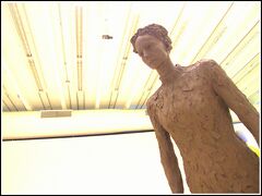 【オスカーニーマイヤー美術館の中で何を感じるか。】

芸術は感性------

..........多くの言葉は不要......。