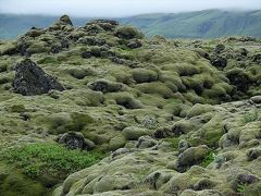 …大規模なエルドフロイン（溶岩原）に突入。

やはり、かつての火山活動で噴出された溶岩が冷えて固まって出来た地形なんでしょうが、アイスランド南東部のエルドフロインでは、その岩がみんなモコモコした苔で覆われているんです。

北部のミーヴァトン湖あたりのエルドフロインだと、黒々とした岩がむき出しだったのとは大違い。
苔の有り無しは気候にも依るのかも？