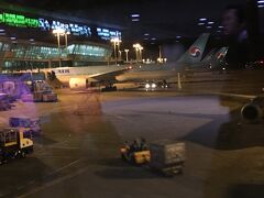 深夜にセブを出発し
予定通り
仁川空港に
早朝到着。

