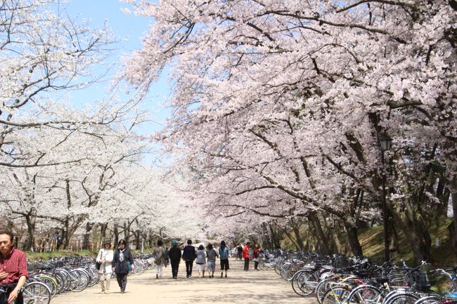 最高のお天気！