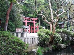 な〜んてのんびり歩いていたら、着いたみたい。弥彦神社。