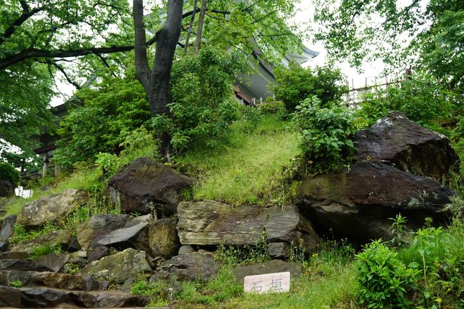 天守閣近くの石垣<br /><br />近年の調査で安土城より早く本格的な石垣を設けたと言われる。