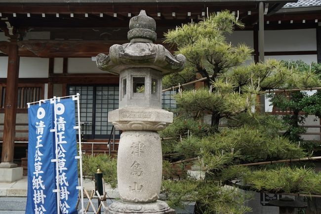 妙延寺　<br /><br />津島市に行く。道に迷いながら、清正公草紙掛松を見に来た。<br /><br />加藤清正公が幼少期を過ごし、境内の松の木によく習字の半紙をこの松の木に掛けて干していたといわれる。