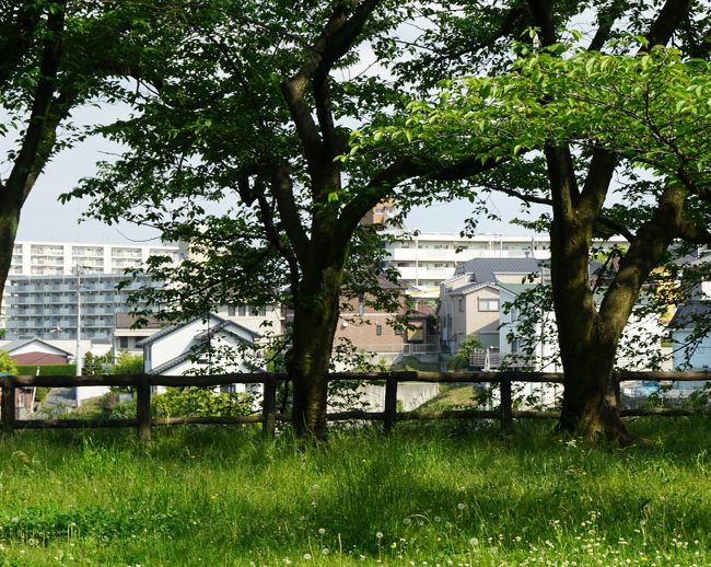 大高城の高台<br /><br />桶狭間の戦いでは、まさに梅雨の時期とは言え、午後より急な雷雨で視界が遮断されたことが勝敗を分けた。