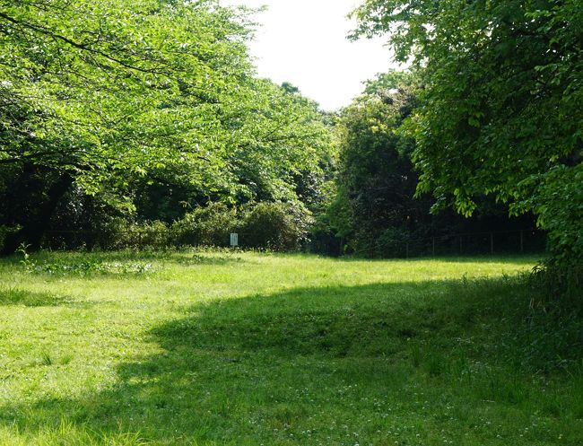 高台は広い草地になっていた。<br /><br />また桶狭間の戦いでは、篭城か野戦か事前に決しておらず、清洲城から信長が突撃したことで、急襲となったように思えていたが、この大高城を囲むように、信長は次に見に行く鷲津砦や丸根砦を築いているので、始めから野戦だったことが良く分かった。<br /><br />しかも両砦は、今川軍が進んでくると思われるルートとこの大高城の間に作っている！何故か？結果は案の定両砦の部隊は全滅している。