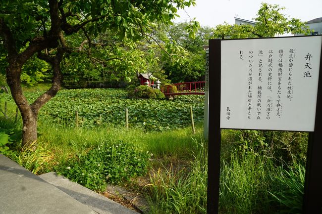 長福寺の弁天池<br /><br />江戸時代の資料には、血刀濯ぎの池と記されている。<br /><br />桶狭間の戦いで血のついた刀が濯がれた場所と考えられる。