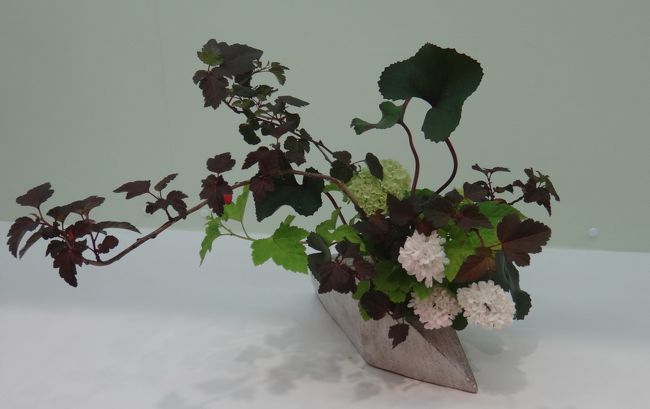 バランスがきれい