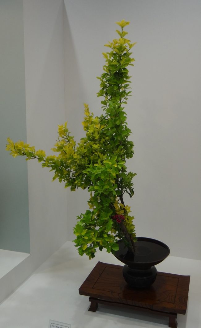 癒されるカラー