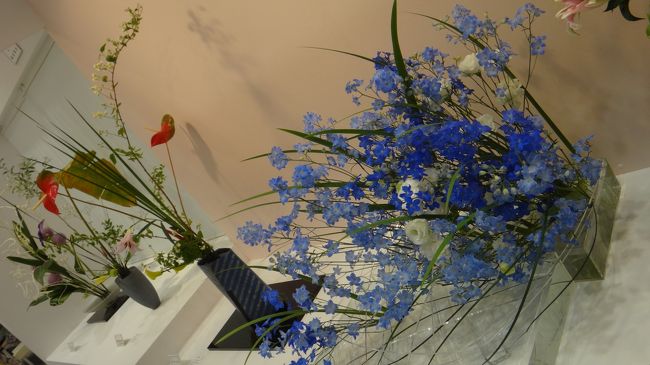 色に引かれます