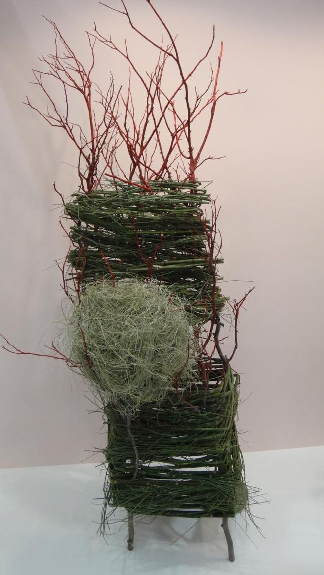 何にみえるでしょう〜