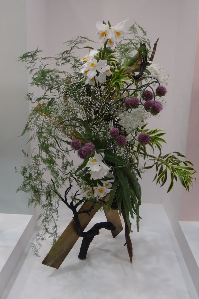 ランが暑さに参ってる