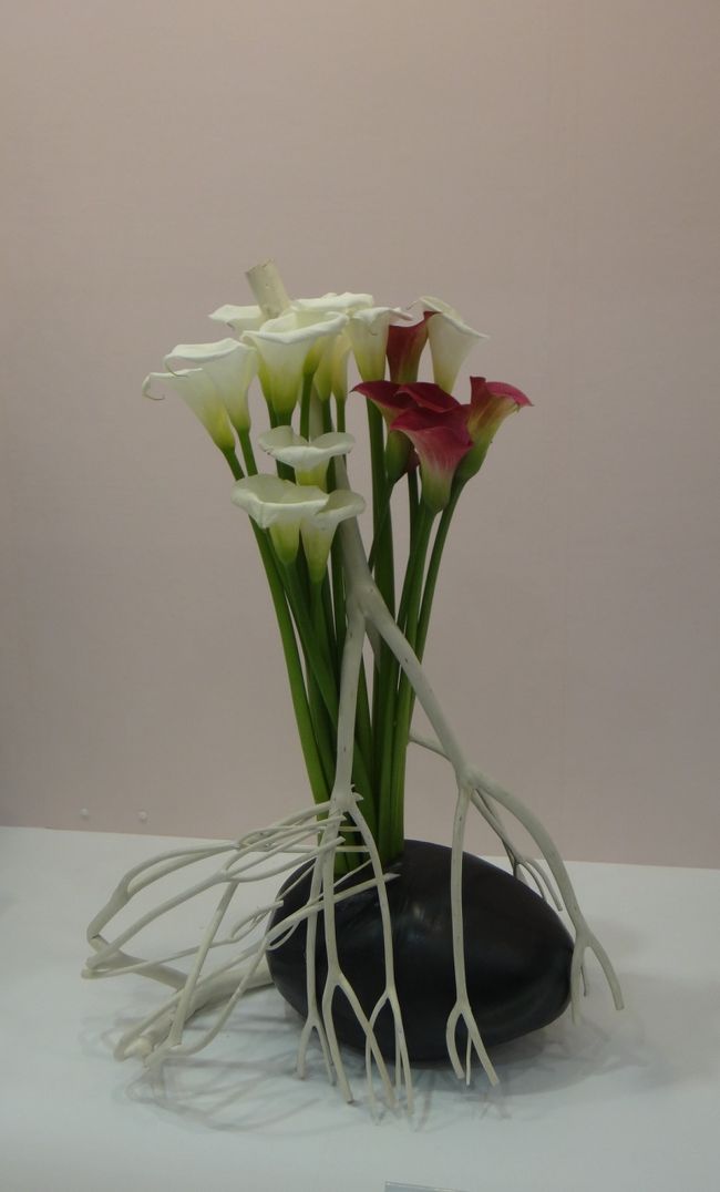 まとまっていて安定感のあるカラーの花