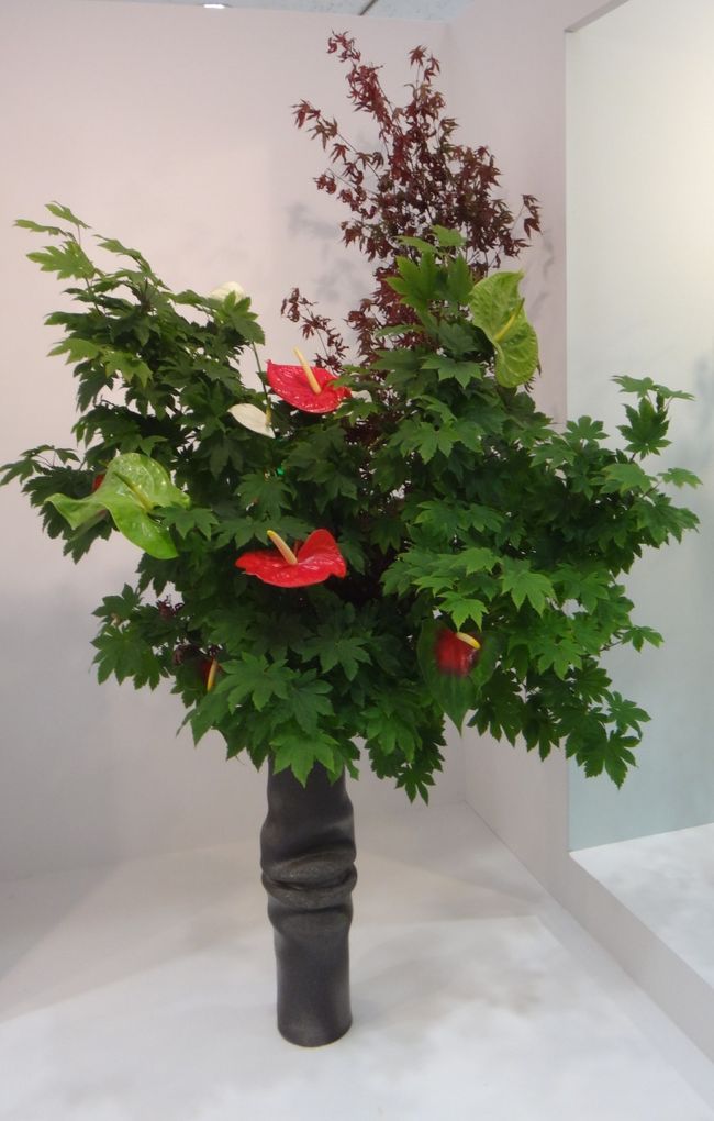 取り合わせがシンプルですが芸術的