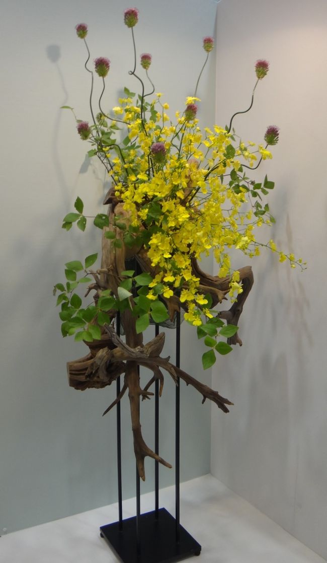 このランは元気が出ます