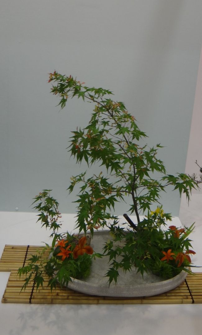 マイナスイオン