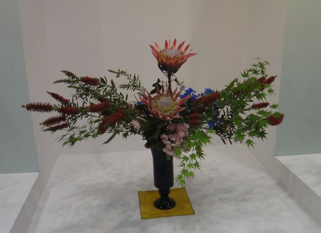 この形はむつかしいそう〜