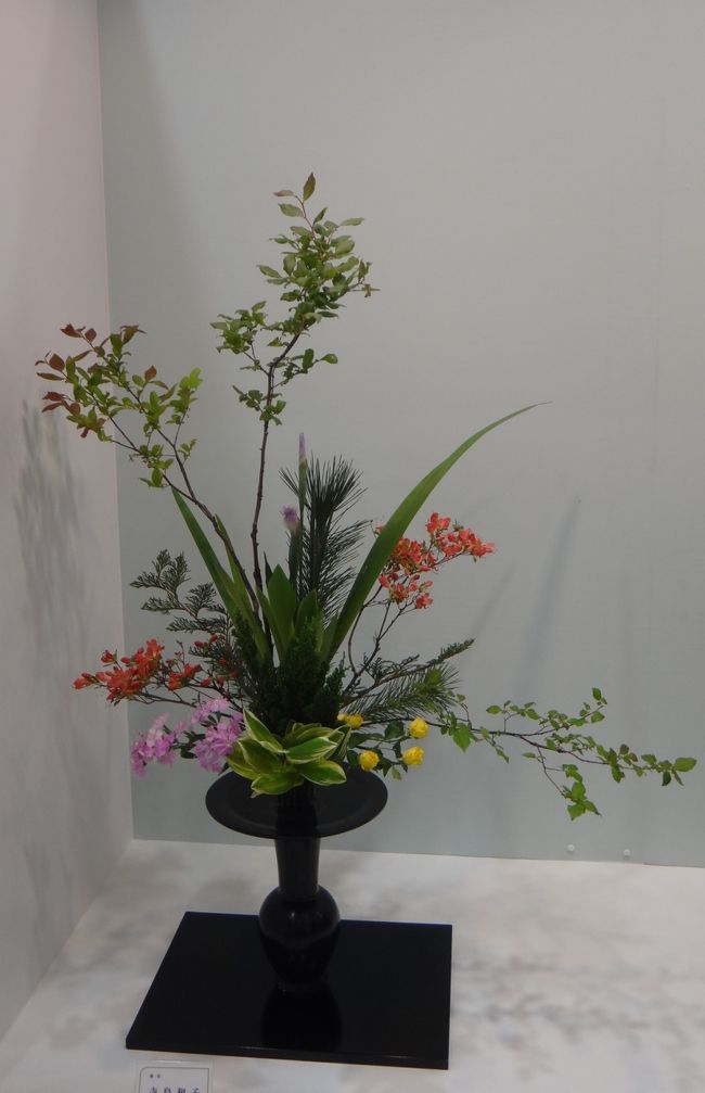 ５月のイメージがする