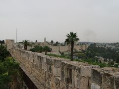 城壁をダマスカス門まで歩きます。エルサレム滞在中に入場料を支払ったのは城壁くらいです。