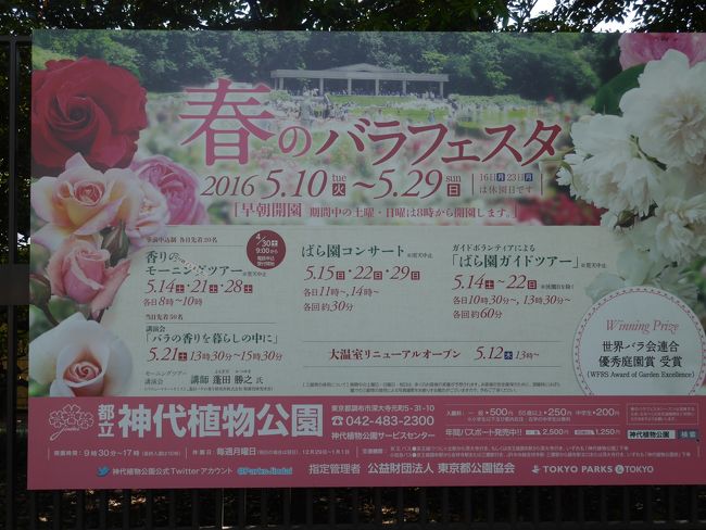 東京調布 神代植物公園 春のバラフェスタ 深大寺を訪れて 調布 狛江 東京 の旅行記 ブログ By Sakatomoさん フォートラベル