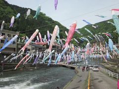 河川敷の駐車場に車がどんどん下りてきます、無料なんですね。

以前から雑誌やポスターで見た川幅いっぱいに泳ぐ鯉のぼりってこれなんですね！、「杖立温泉鯉のぼり祭り」！。
