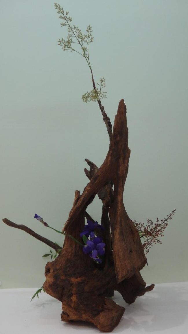 山ごもりしたのかな