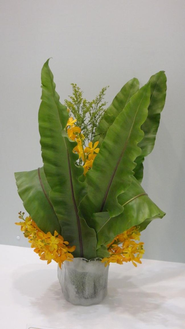 新しいことに挑戦