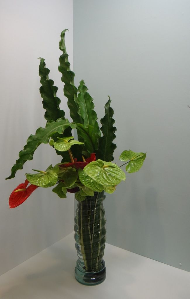 器が葉の形に似てる