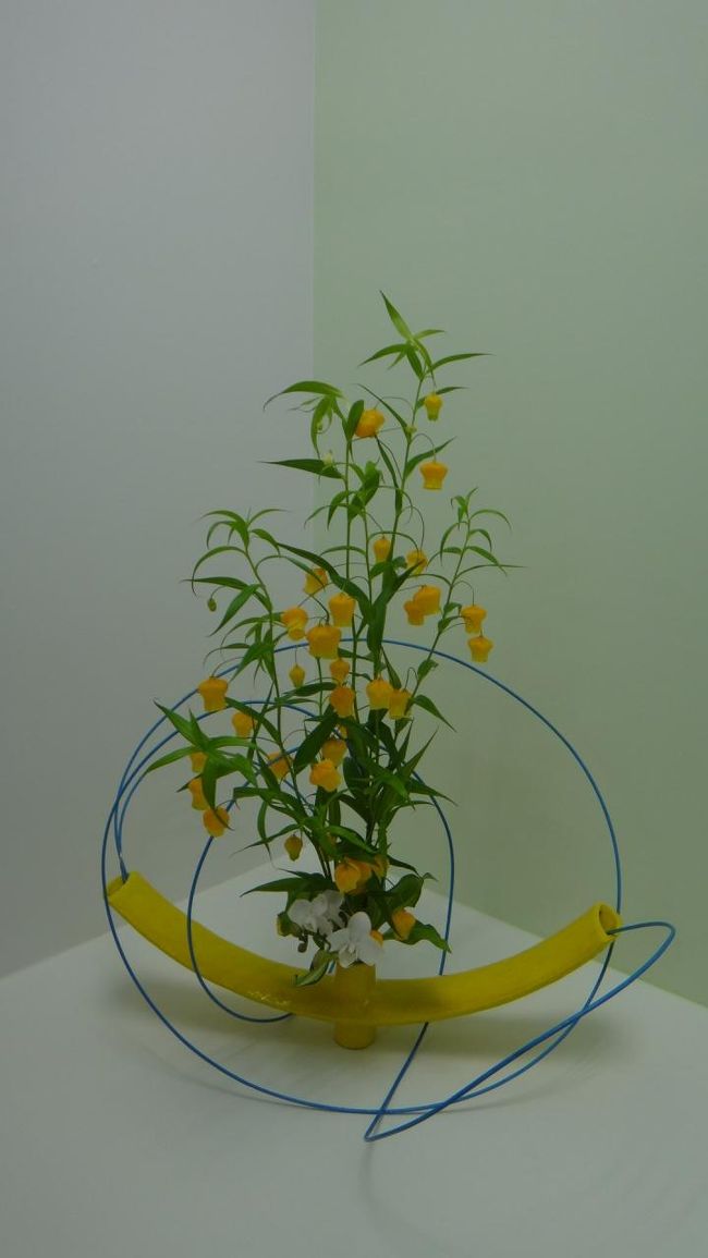 かわいい花です