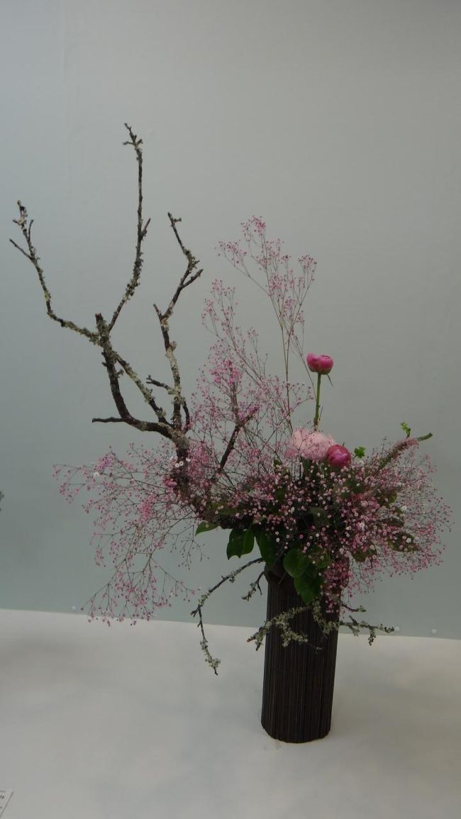 桜のようですね〜