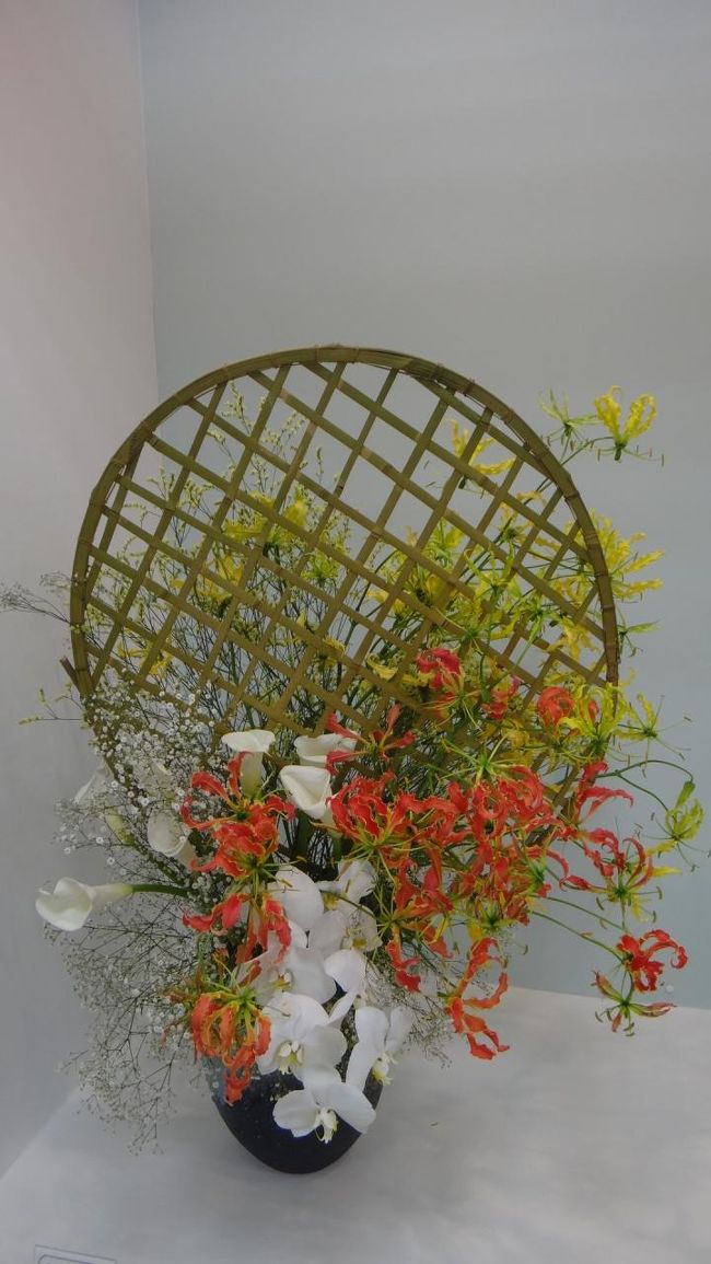 きれいで面白い