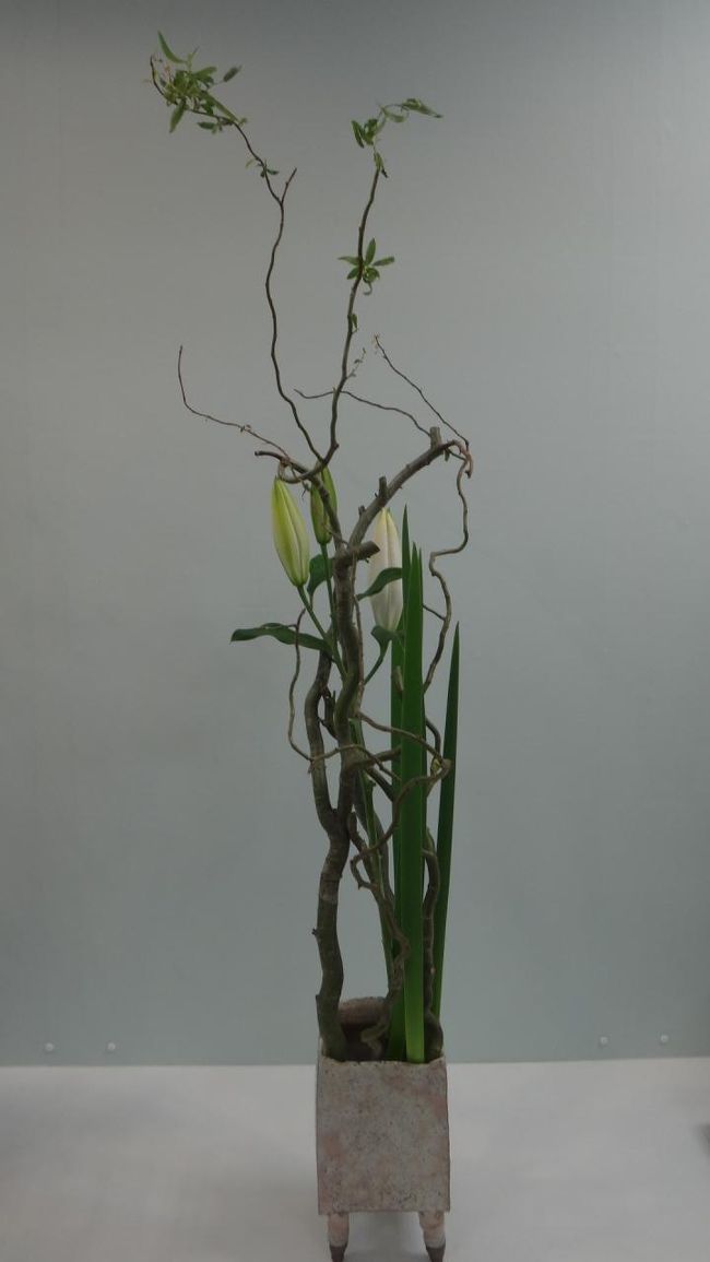 この器でこの作品は意外です