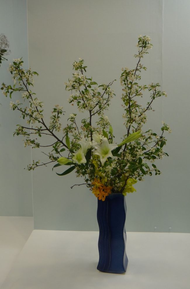 ブルーが締まる〜