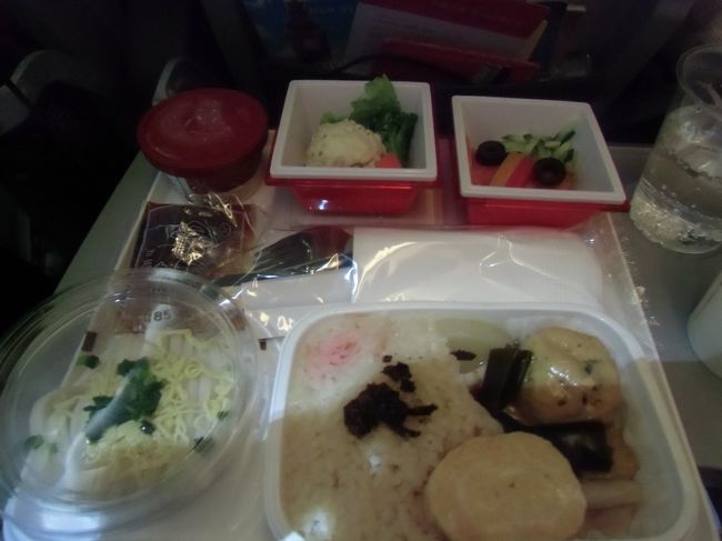 機内食。<br /><br />一番後ろなので配られたのも最後だったせいか、アイスも程よく溶けていた。<br /><br />お腹がいっぱいだったので、アイスだけ食べた。