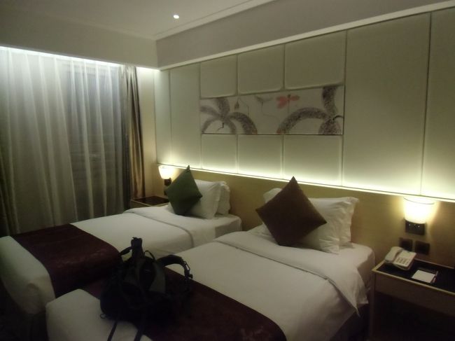 空港からバス停までは40分くらい。<br /><br />降りてからホテルまでは歩いて10分弱。<br /><br />初めてのホテルだったけど、トラムの通りにあるので迷うことなくチェックイン。<br /><br />