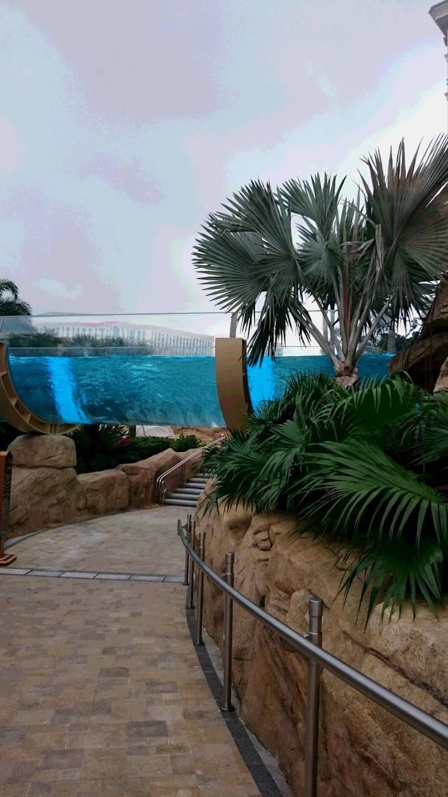 部屋から水着に着替え、ガウンを羽織りプールまで行くことができます。<br />ホテルからプールの入り口では、宿泊客のチェックがあります。<br />世界一？の流れるプールを目指していると、スケルトンな場所が・・・。楽しみ。