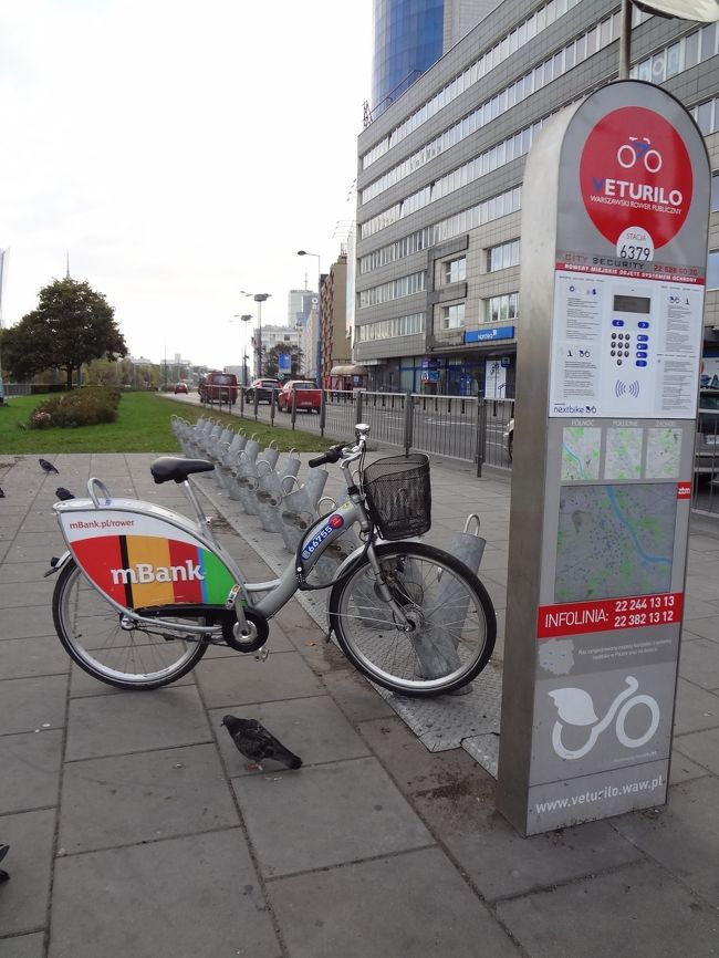 思っていたよりずっと近代的な街のようです。