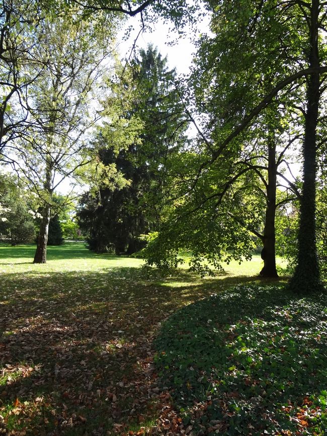 緑いっぱいの庭園風です。<br />小動物がいるようで、私はリスを見ましたよ。