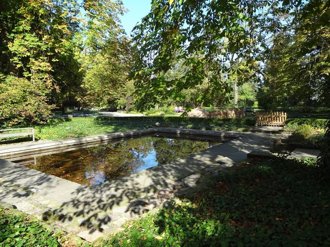 生家の前にお池がありました。