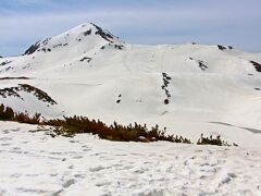 帽子をかぶり、サングラスをかけ、雪山装備で山小屋の外へと出る。
室堂駅から山小屋へと来るまでは雪の反射が眩しく目が痛かったのだが、サングラスをすると雪の反射もかなり楽になり景色も良く見えるように…。

早速、ハイマツ林の中になにか動くものを発見！
