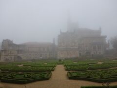 朝～、昨日にも増してすごい霧！