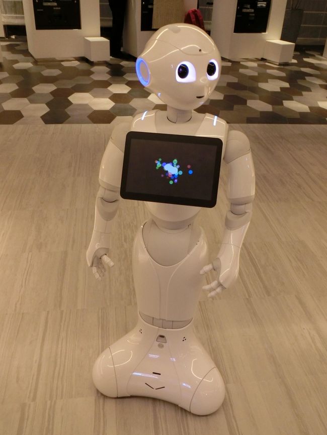 サンルートはフロントにPepperがいて、遊んでくれます。<br />また、フロントも今までのホテルとは少し違った感じで、ホテルスタッフ側とお客側の敷居というか壁がないような、身近な感じでチェックインをします。<br /><br />