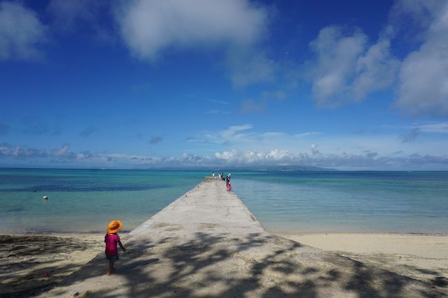 夜明けと違い、めっちゃ青々として鮮やか(^O^)<br />